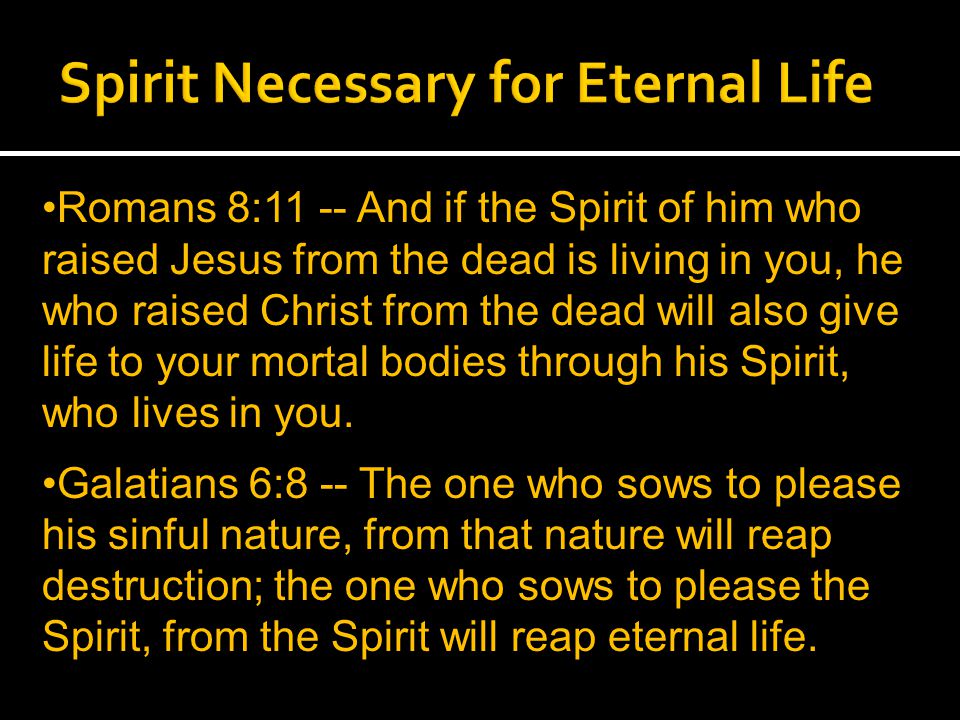 Romans 8:11 -- And if the Spirit of him who raised Jesus from the dead is living in you, he who raised Christ from the dead will also give life to your mortal bodies through his Spirit, who lives in you.