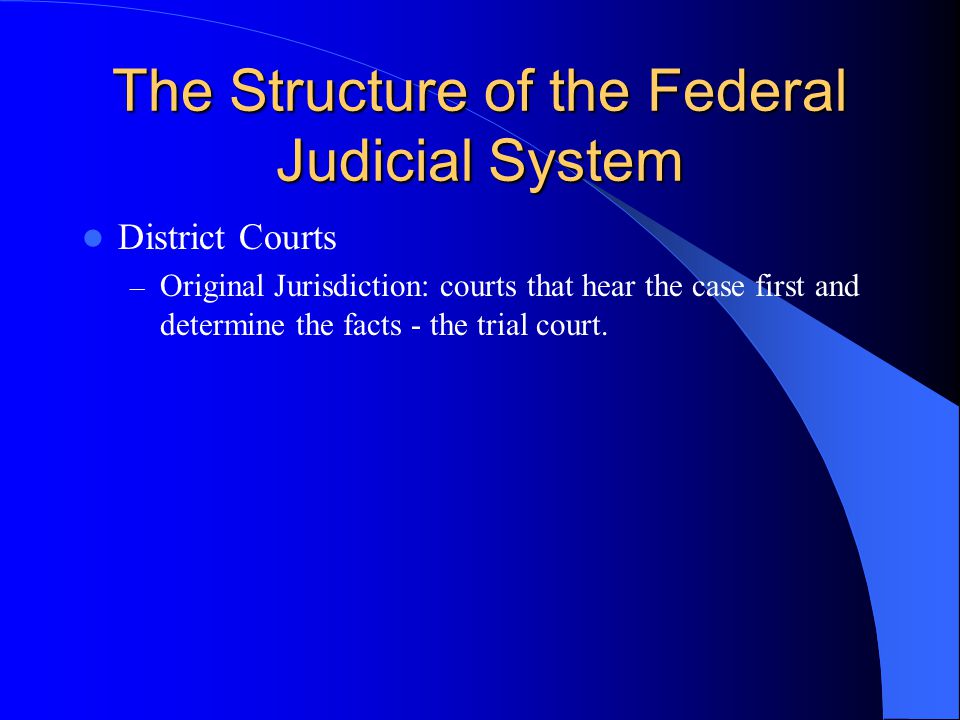 The Structure of the Federal Judicial System District Courts – Original Jurisdiction: courts that hear the case first and determine the facts - the trial court.