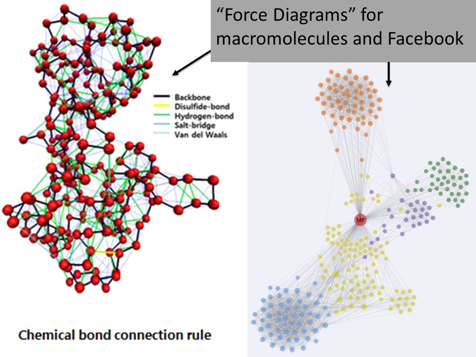 Force Diagrams for macromolecules and Facebook