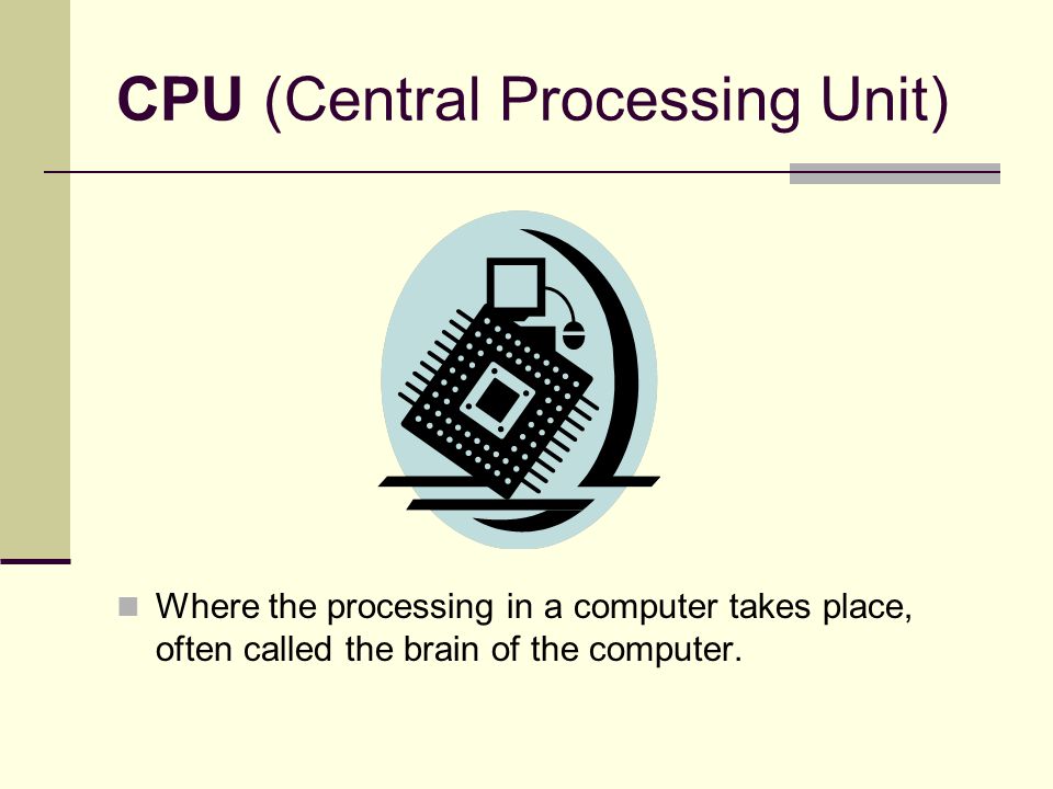 CPU (Central Processing Unit) Where the processing in a computer takes place, often called the brain of the computer.