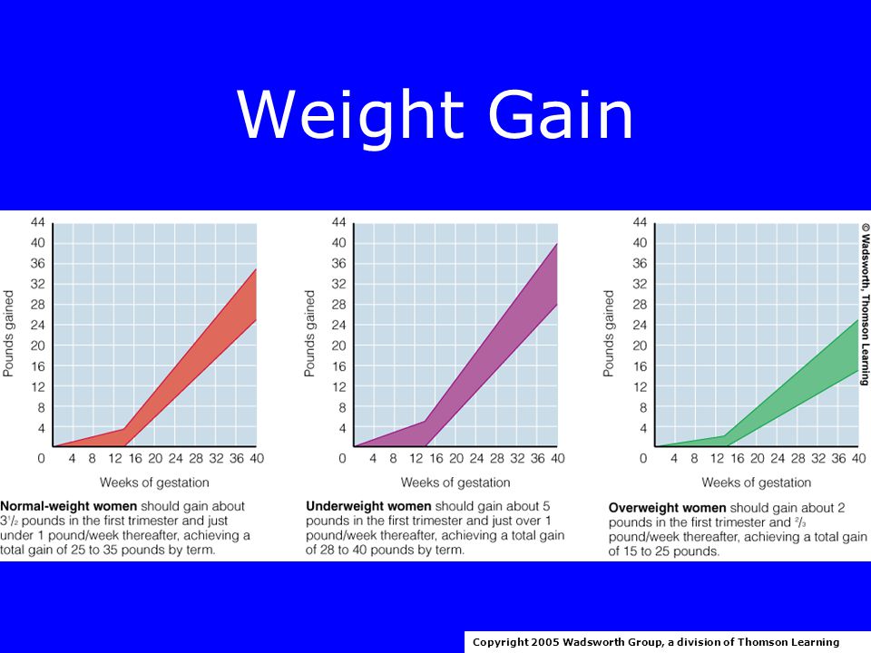 Weight Gain Copyright 2005 Wadsworth Group, a division of Thomson Learning