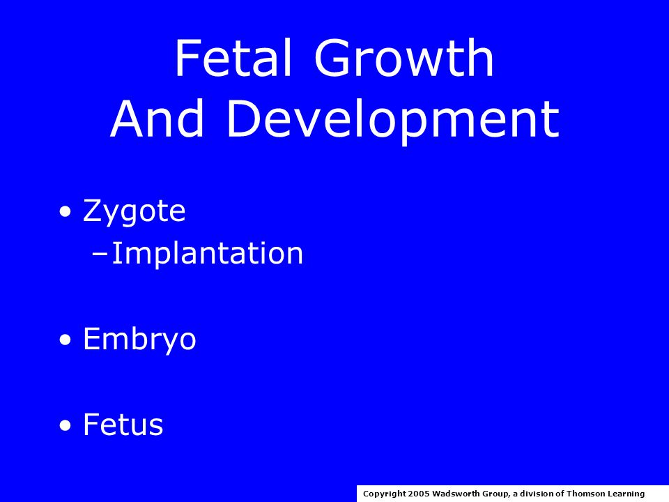 Fetal Growth And Development Ovum + sperm  zygote Copyright 2005 Wadsworth Group, a division of Thomson Learning