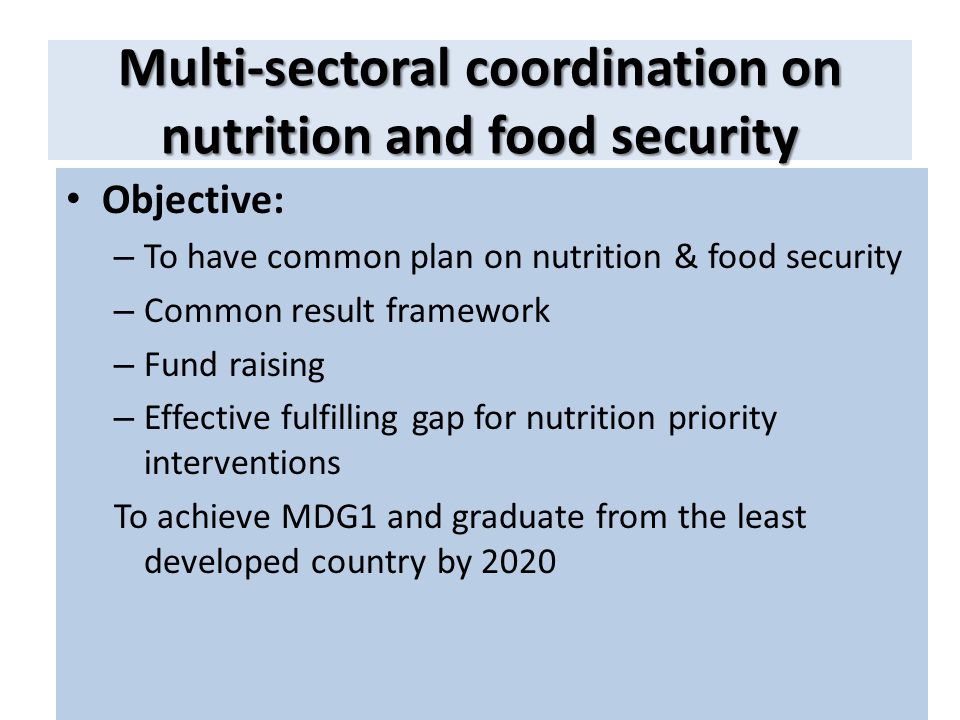 Multi-sectoral coordination on nutrition and food security Objective: – To have common plan on nutrition & food security – Common result framework – Fund raising – Effective fulfilling gap for nutrition priority interventions To achieve MDG1 and graduate from the least developed country by 2020