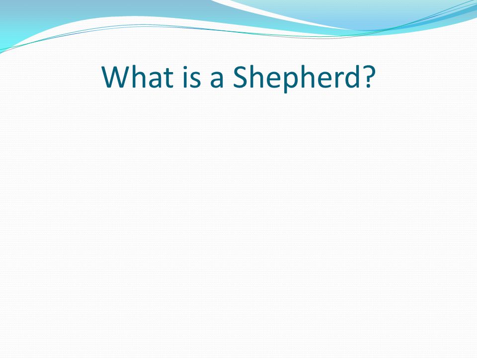 What is a Shepherd