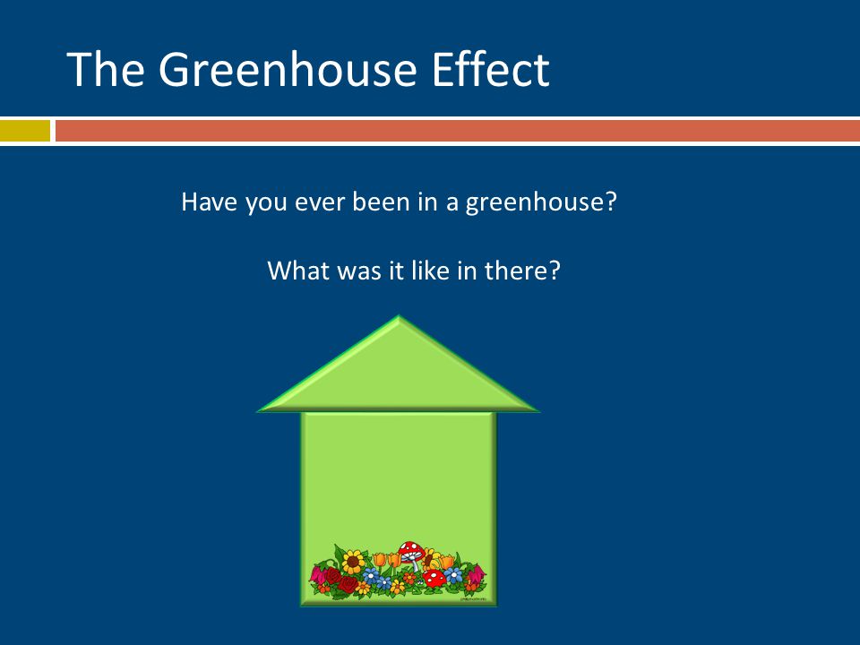 The Greenhouse Effect Have you ever been in a greenhouse What was it like in there