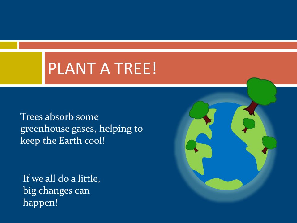PLANT A TREE. Trees absorb some greenhouse gases, helping to keep the Earth cool.