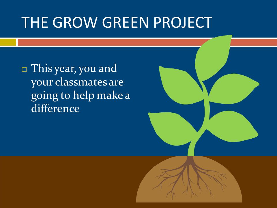 THE GROW GREEN PROJECT  This year, you and your classmates are going to help make a difference