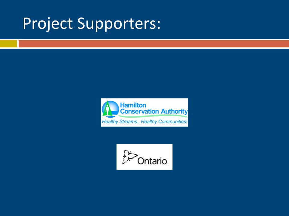 Project Supporters: