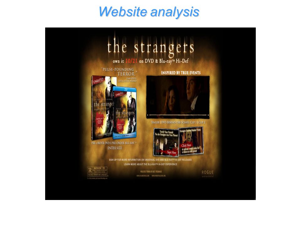 Website analysis