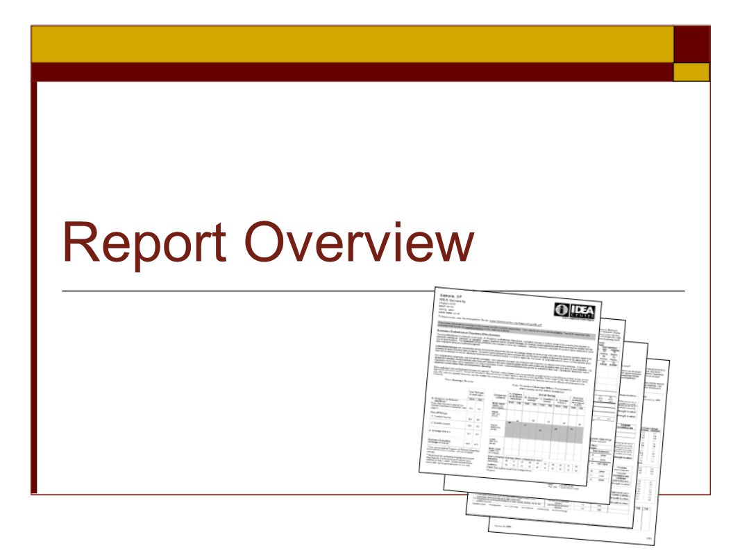 Report Overview