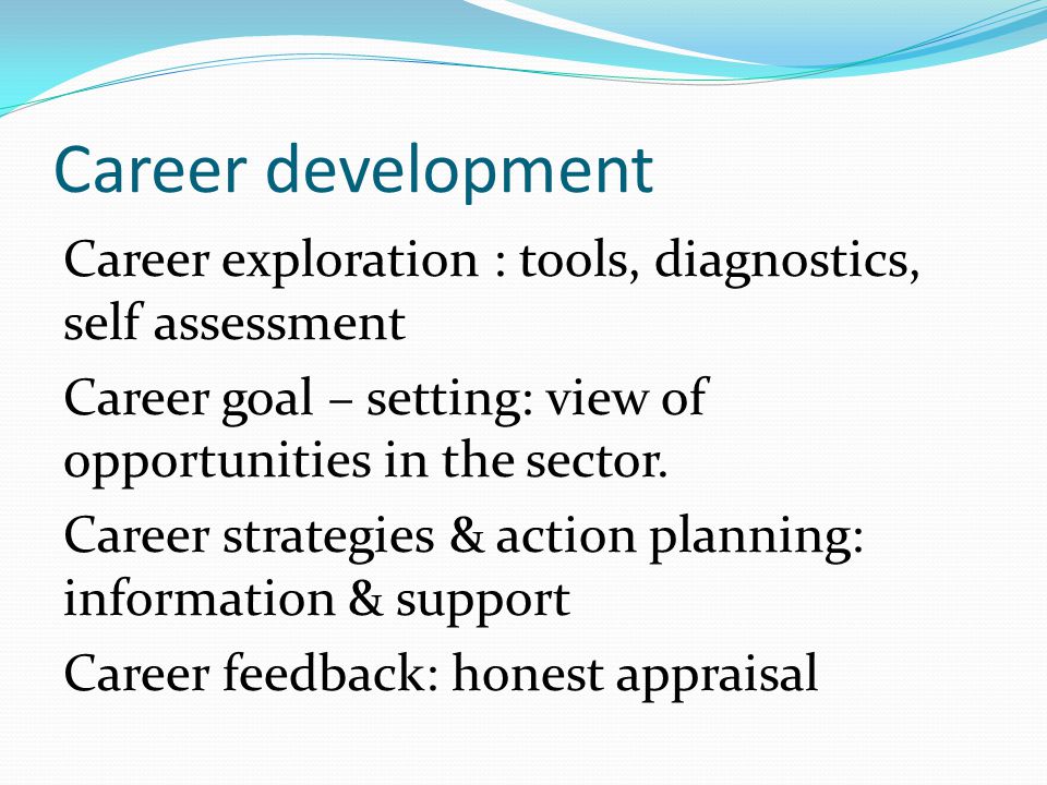 Career development Career exploration : tools, diagnostics, self assessment Career goal – setting: view of opportunities in the sector.