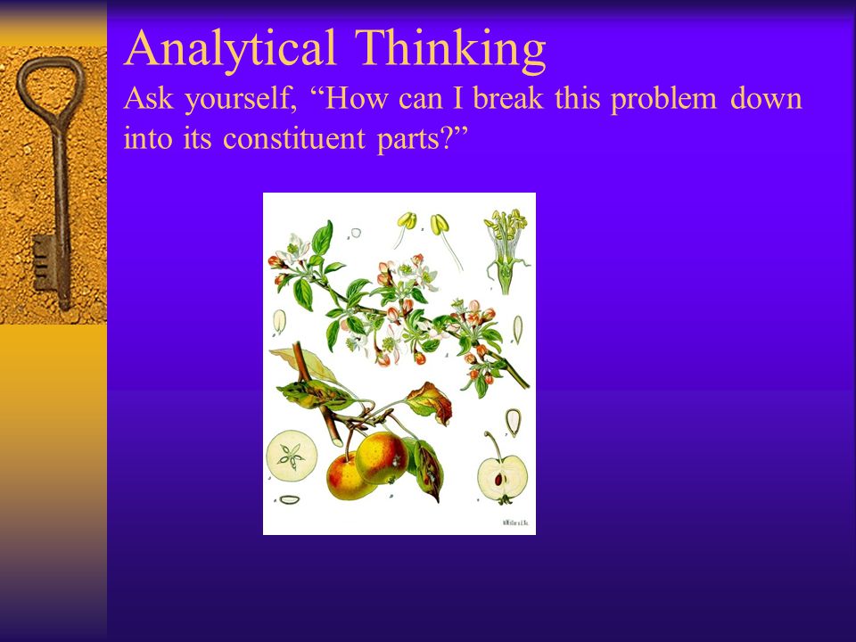 Analytical Thinking Ask yourself, How can I break this problem down into its constituent parts
