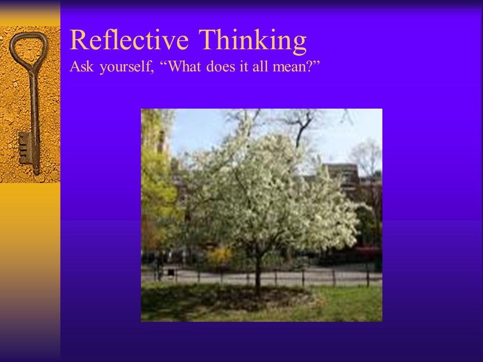 Reflective Thinking Ask yourself, What does it all mean