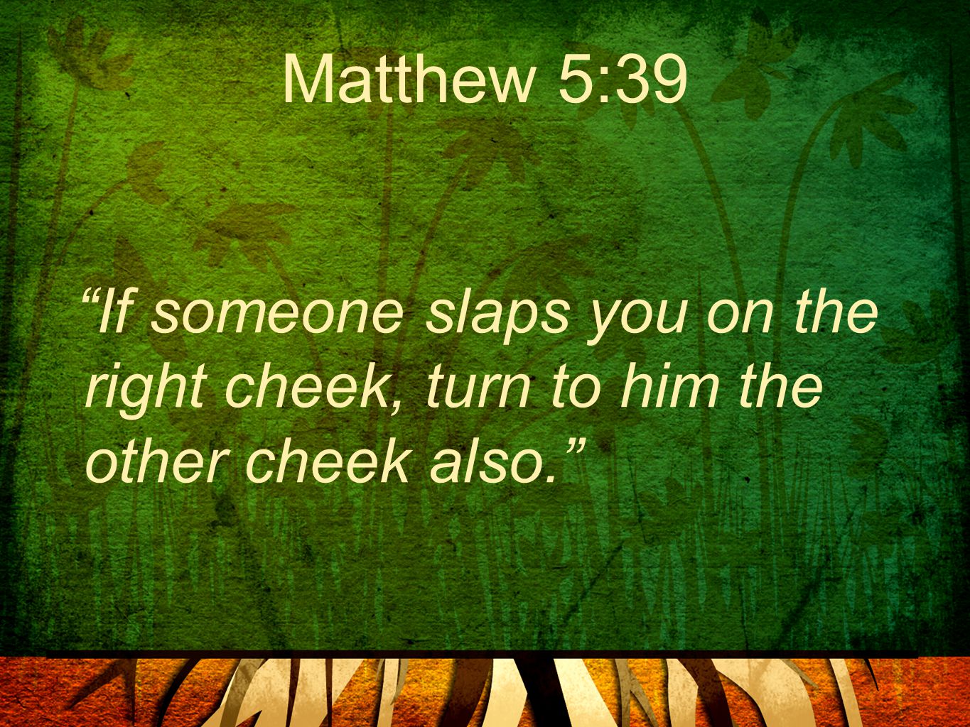 Matthew 5:39 If someone slaps you on the right cheek, turn to him the other cheek also.