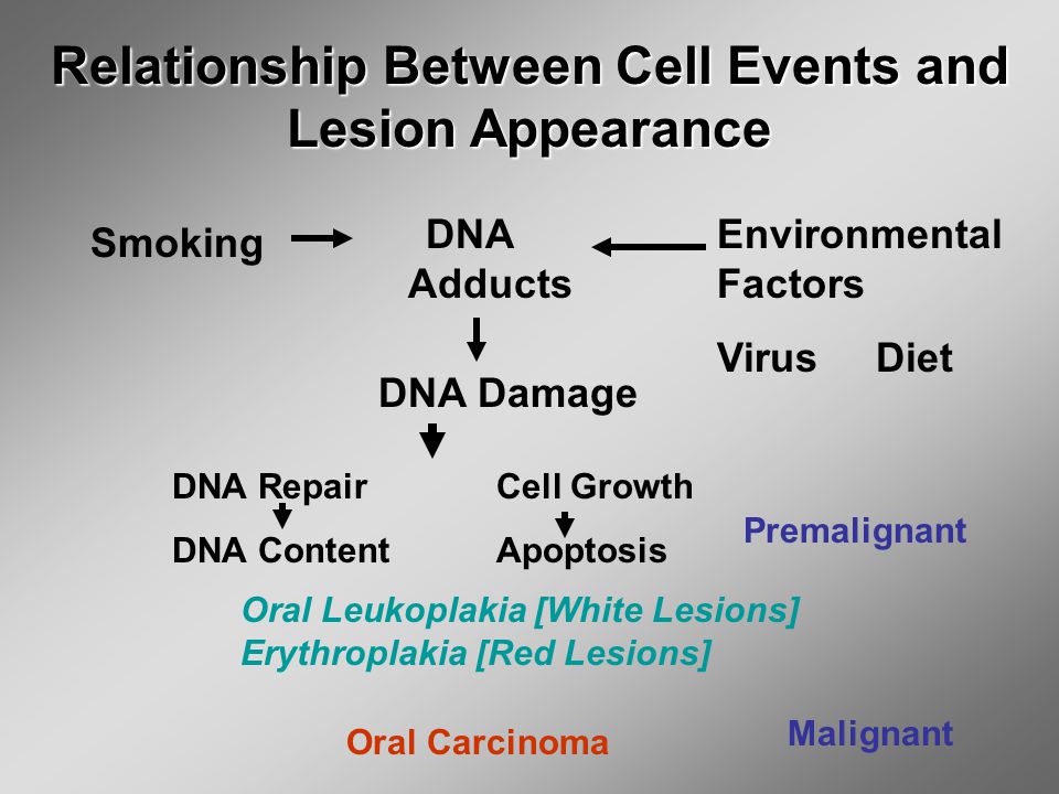 Module 2 Risk Factors And Prevention Major Risk Factors For Oral