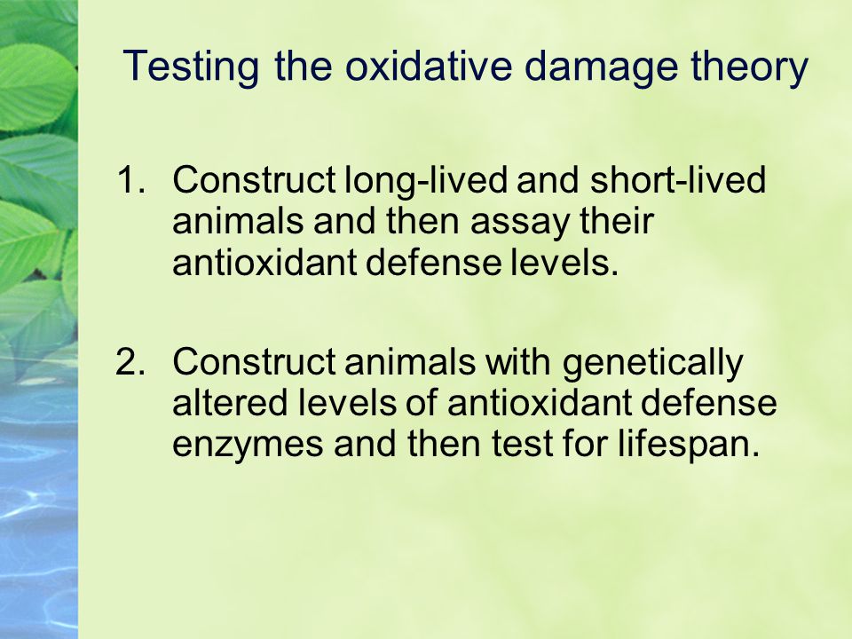 1.Construct long-lived and short-lived animals and then assay their antioxidant defense levels.