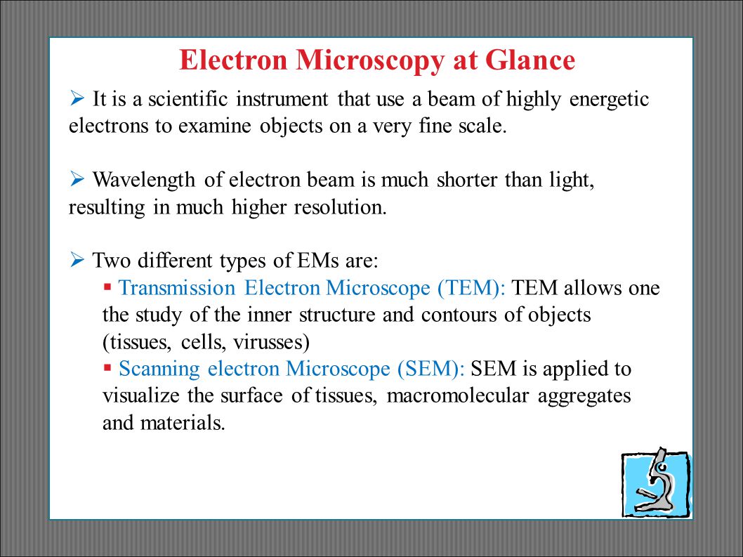 Electron Microscopy at Glance  It is a scientific instrument that use a beam of highly energetic electrons to examine objects on a very fine scale.