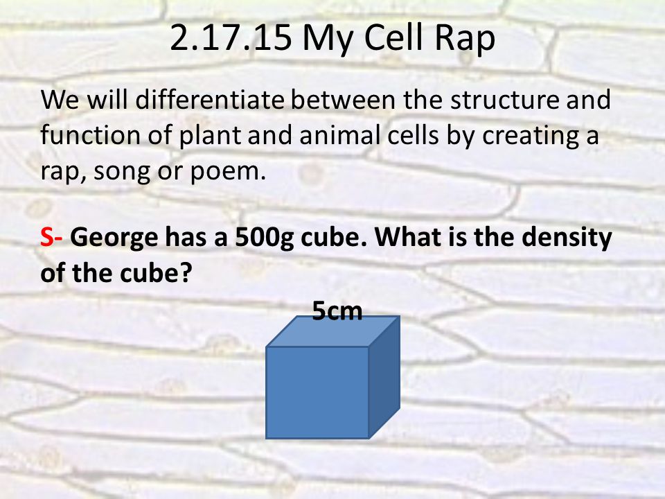 Write to Learn: Plant vs Animal Cells Complete write to learn and quiz  during the video Explain the difference between a plant cell and animal. -  ppt download