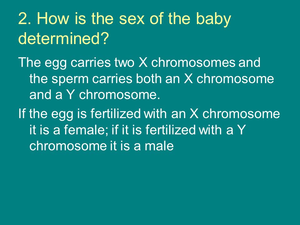 Know The Sex Of Your Baby