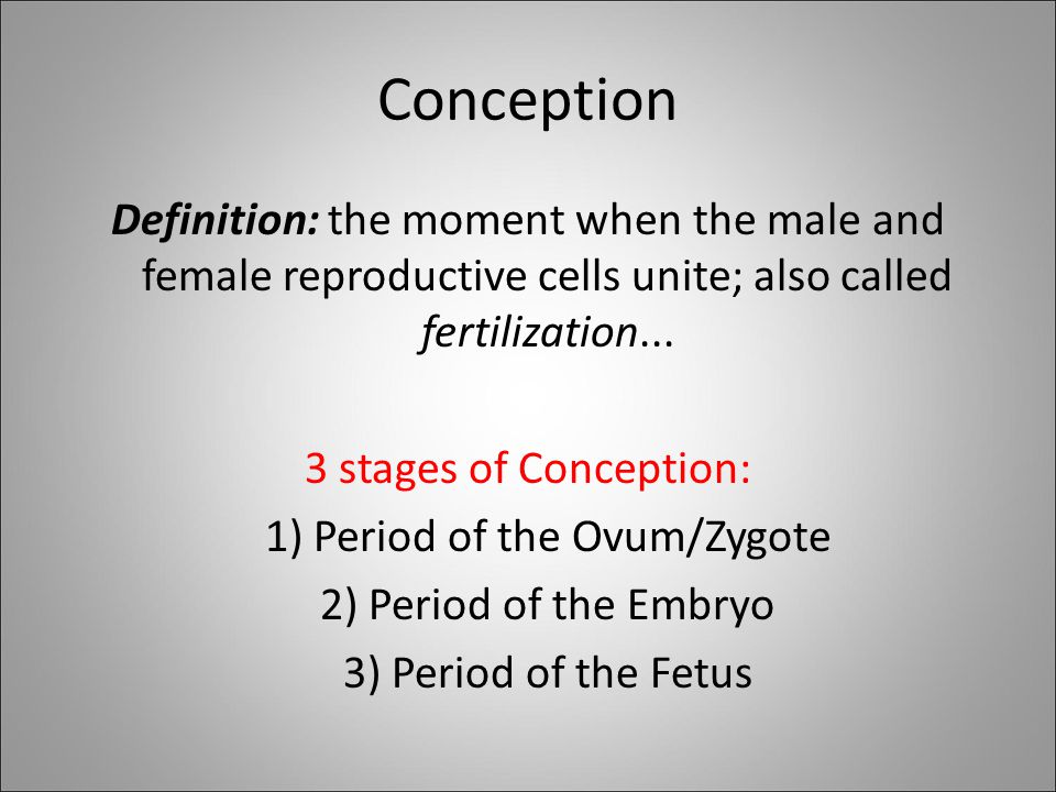 define conception