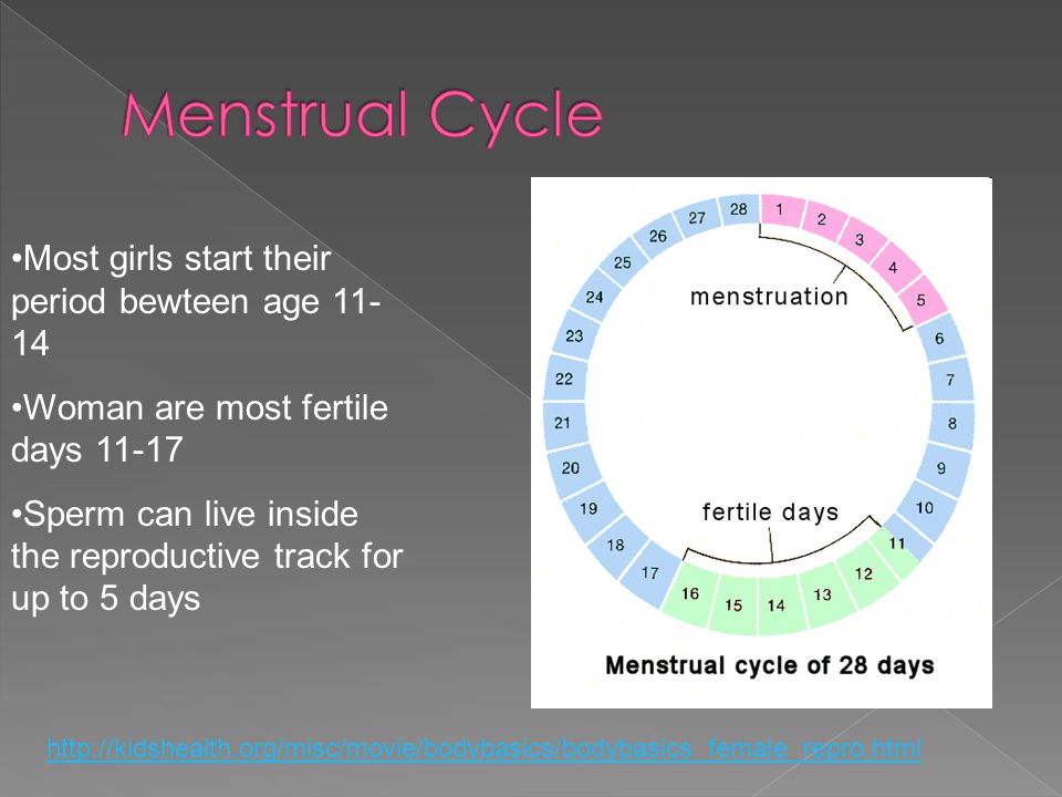 Most girls start their period bewteen age Woman are most fertile days Sperm  can live inside. - ppt download
