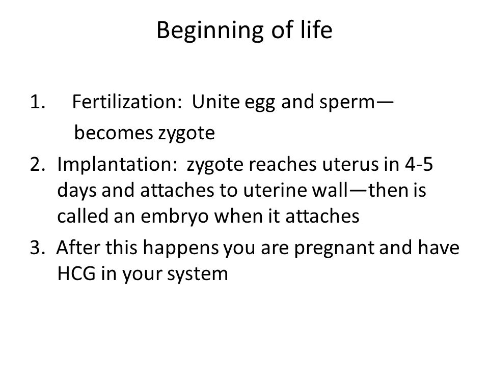 Beginning of life 1.