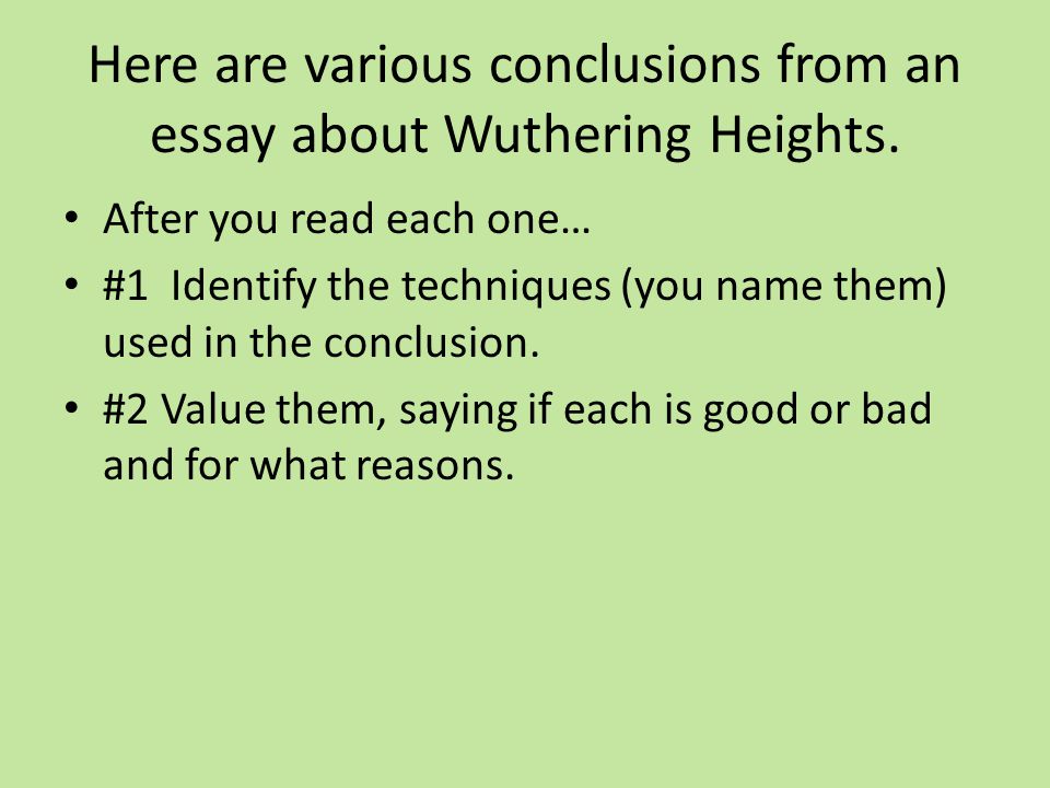 wuthering heights theme essay