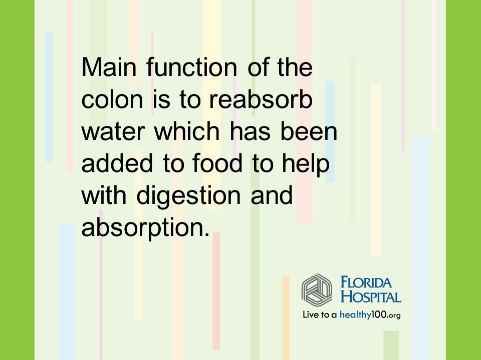 Main function of the colon is to reabsorb water which has been added to food to help with digestion and absorption.