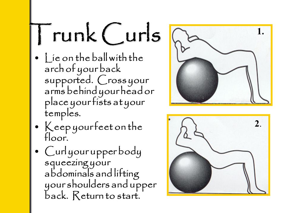 Trunk Curls Lie on the ball with the arch of your back supported.
