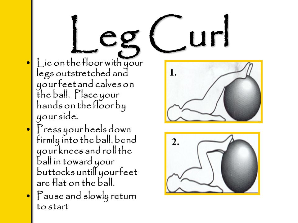 Leg Curl Lie on the floor with your legs outstretched and your feet and calves on the ball.