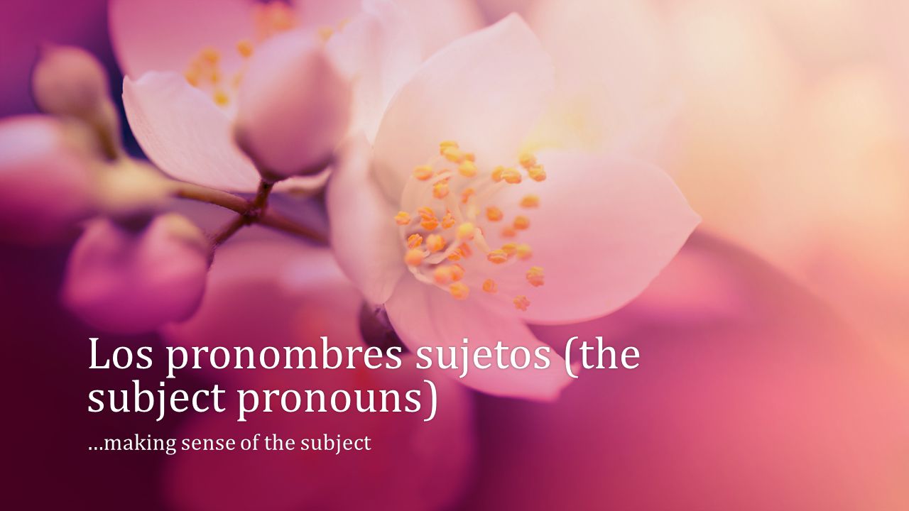Los pronombres sujetos (the subject pronouns) …making sense of the subject…making sense of the subject