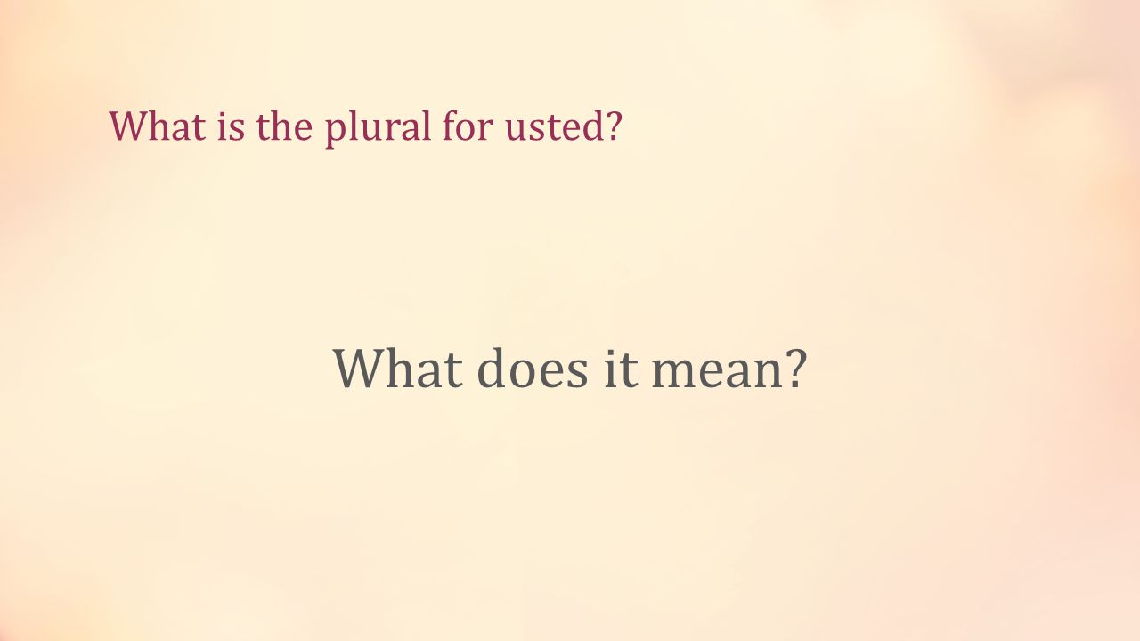 What is the plural for usted What does it mean