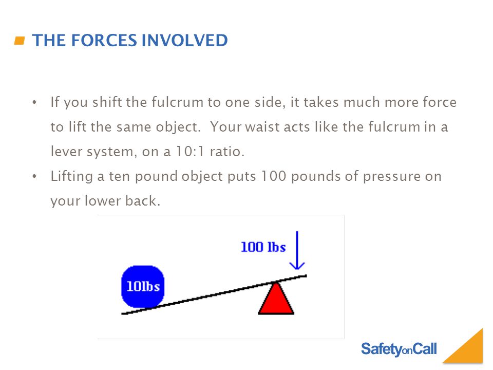 Safety on Call THE FORCES INVOLVED If you shift the fulcrum to one side, it takes much more force to lift the same object.