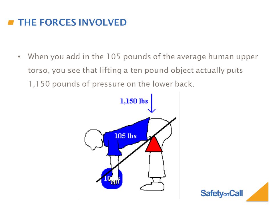 Safety on Call THE FORCES INVOLVED When you add in the 105 pounds of the average human upper torso, you see that lifting a ten pound object actually puts 1,150 pounds of pressure on the lower back.