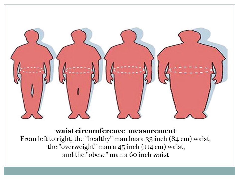 waist circumference measurement From left to right, the healthy man has a 33 inch (84 cm) waist, the overweight man a 45 inch (114 cm) waist, and the obese man a 60 inch waist