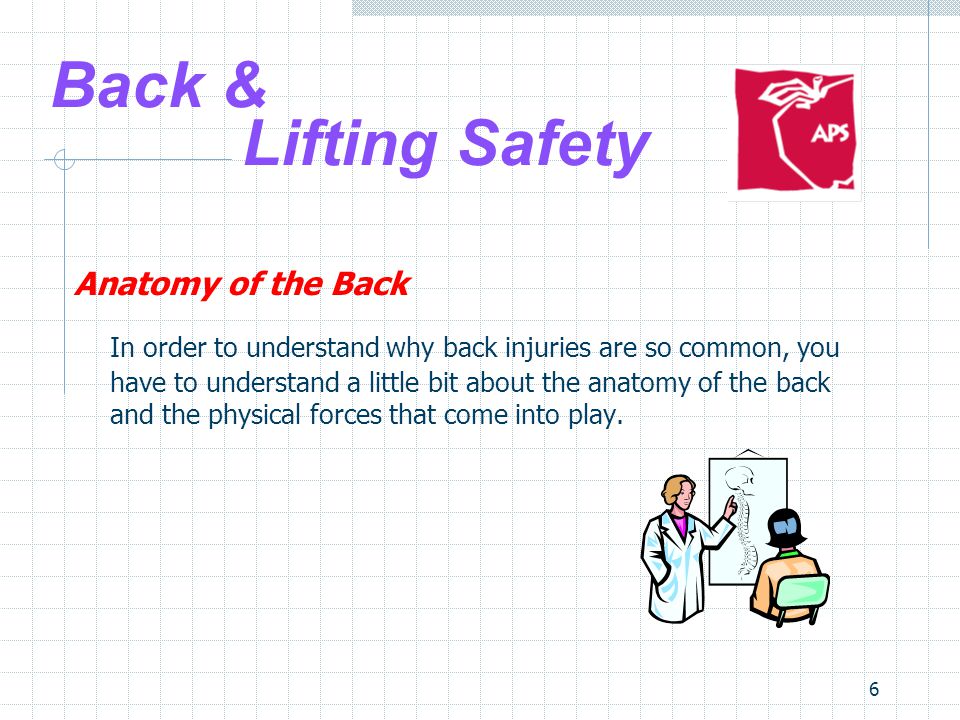 6 Back & Lifting Safety Anatomy of the Back In order to understand why back injuries are so common, you have to understand a little bit about the anatomy of the back and the physical forces that come into play.