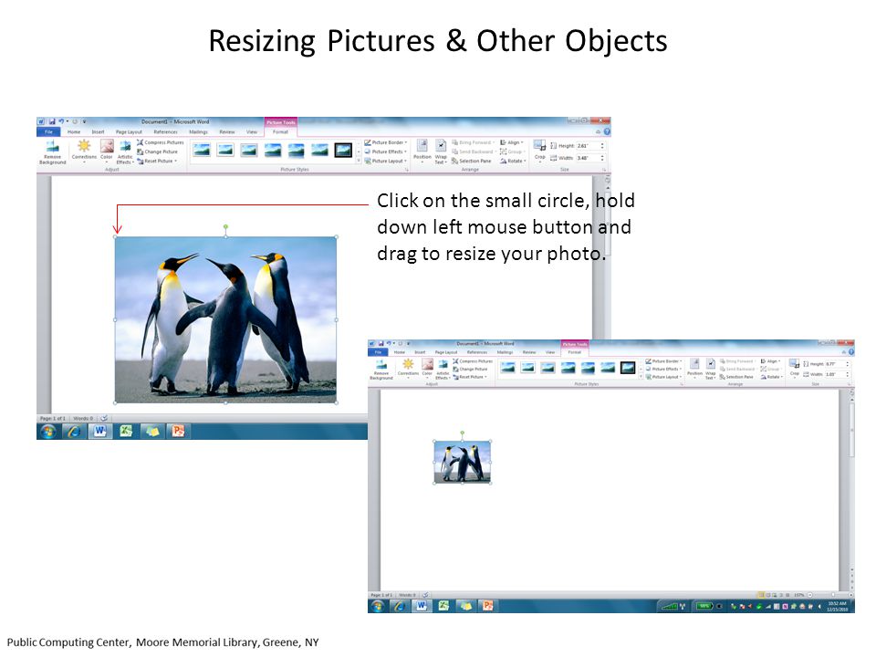 Resizing Pictures & Other Objects Click on the small circle, hold down left mouse button and drag to resize your photo.