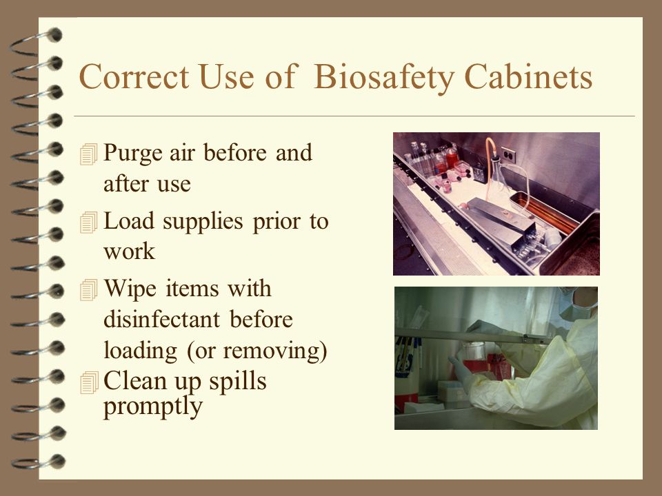 Correct Use of Biosafety Cabinets 4 Purge air before and after use 4 Load supplies prior to work 4 Wipe items with disinfectant before loading (or removing) 4 Clean up spills promptly