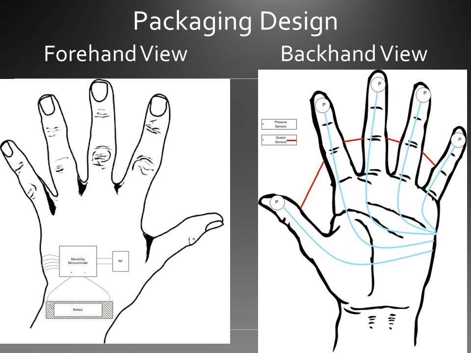 Packaging Design Forehand ViewBackhand View