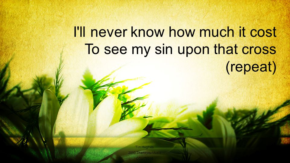 I ll never know how much it cost To see my sin upon that cross (repeat) Tim Hughes 2000 Thankyou Music CCLI 78316
