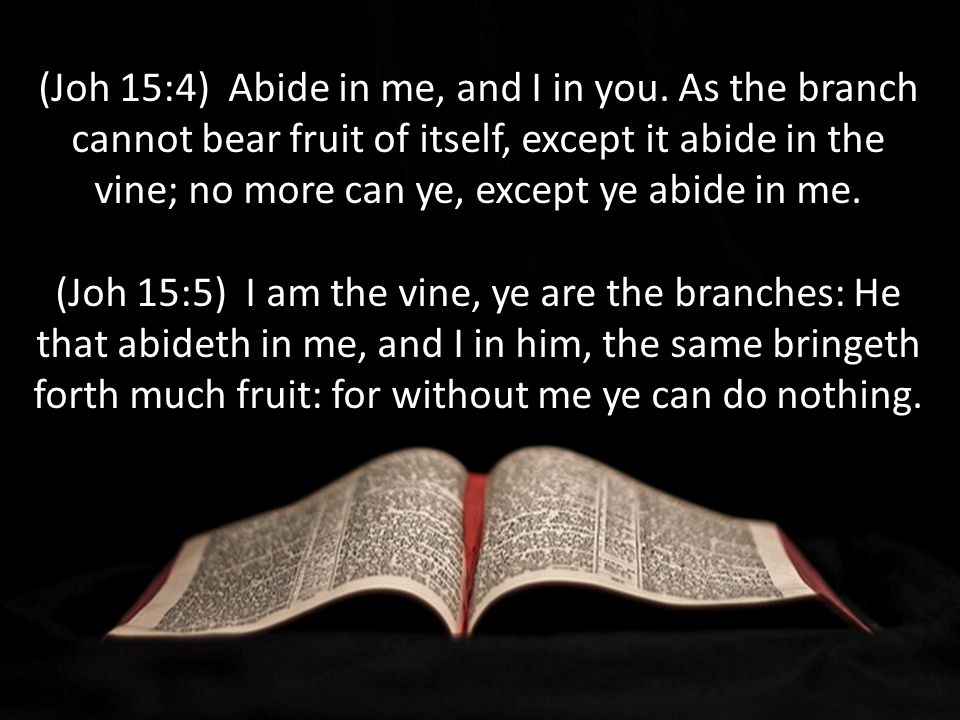 (Joh 15:4) Abide in me, and I in you.