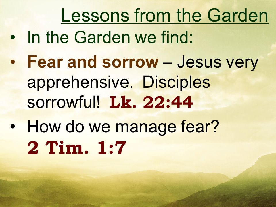 In the Garden we find: Fear and sorrow – Jesus very apprehensive.