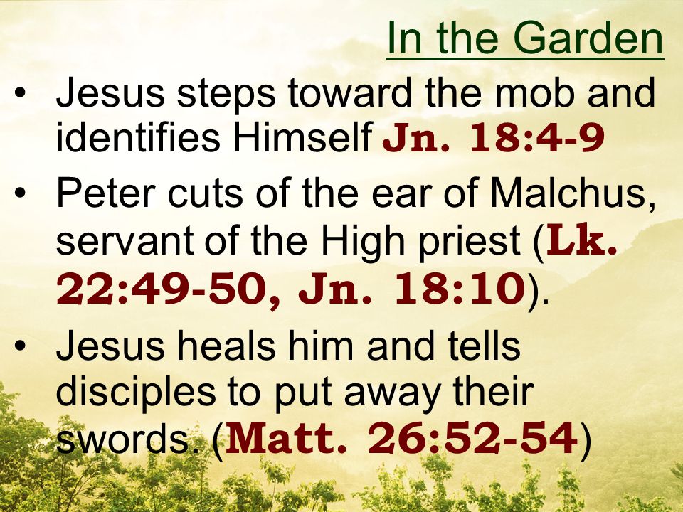 Jesus steps toward the mob and identifies Himself Jn.