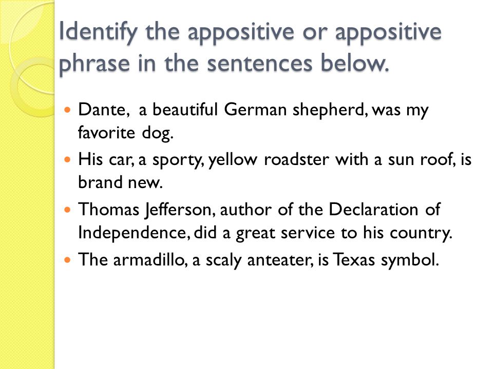picture Sentence With An Appositive an appositive is a noun or noun phrase