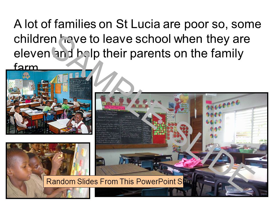A lot of families on St Lucia are poor so, some children have to leave school when they are eleven and help their parents on the family farm.