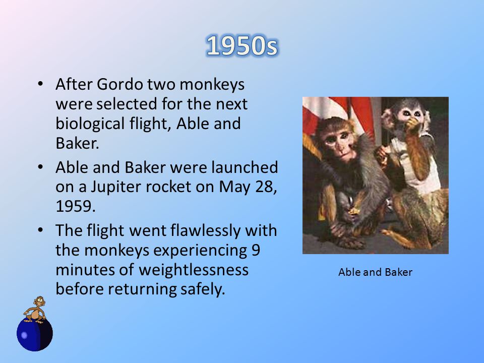Animals have been used in space science research since the beginning of the space age. Both the United States and Soviet/Russian space programs used animals. - ppt download