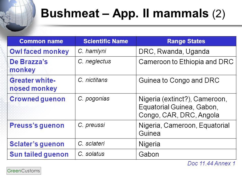 Bushmeat – App. II mammals (2) Common nameScientific NameRange States Owl faced monkey C.