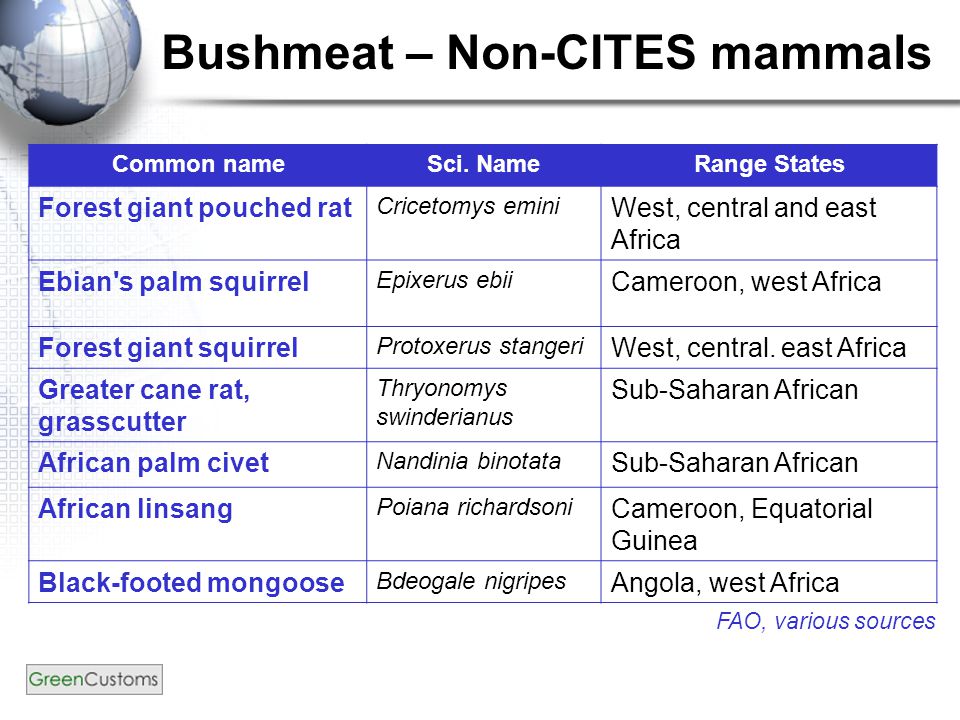 Bushmeat – Non-CITES mammals Common nameSci.