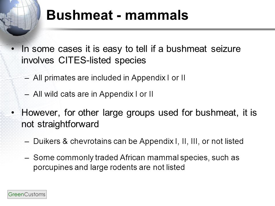 Bushmeat - mammals In some cases it is easy to tell if a bushmeat seizure involves CITES-listed species –All primates are included in Appendix I or II –All wild cats are in Appendix I or II However, for other large groups used for bushmeat, it is not straightforward –Duikers & chevrotains can be Appendix I, II, III, or not listed –Some commonly traded African mammal species, such as porcupines and large rodents are not listed