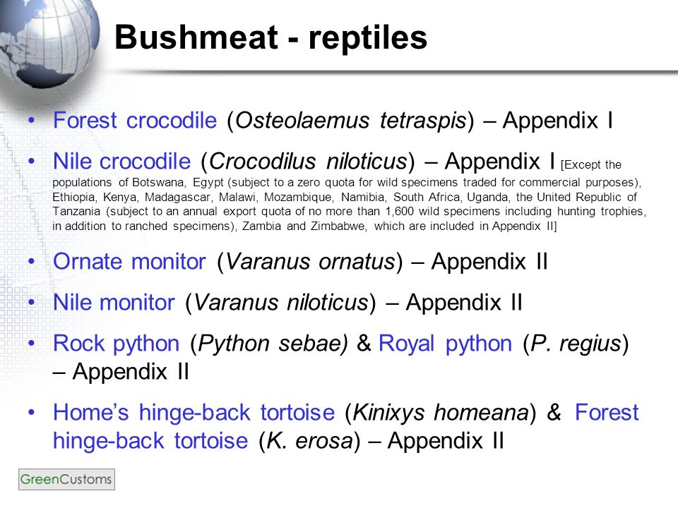 Bushmeat - reptiles Forest crocodile (Osteolaemus tetraspis) – Appendix I Nile crocodile (Crocodilus niloticus) – Appendix I [Except the populations of Botswana, Egypt (subject to a zero quota for wild specimens traded for commercial purposes), Ethiopia, Kenya, Madagascar, Malawi, Mozambique, Namibia, South Africa, Uganda, the United Republic of Tanzania (subject to an annual export quota of no more than 1,600 wild specimens including hunting trophies, in addition to ranched specimens), Zambia and Zimbabwe, which are included in Appendix II] Ornate monitor (Varanus ornatus) – Appendix II Nile monitor (Varanus niloticus) – Appendix II Rock python (Python sebae) & Royal python (P.